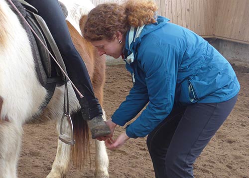 Reitkurs mit Verena Kollek