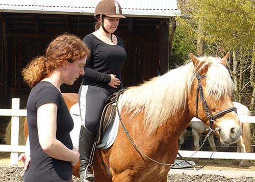 Reitkurs mit Verena Kollek