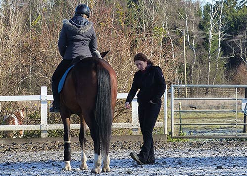 Reitkurs mit Verena Kollek