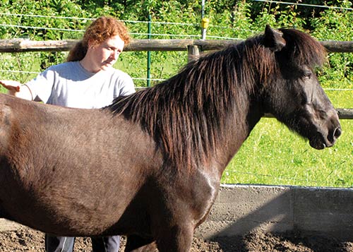 Reitkurs mit Verena Kollek