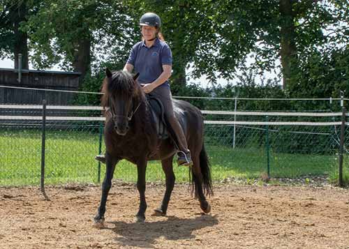 Reitkurs mit Verena Kollek